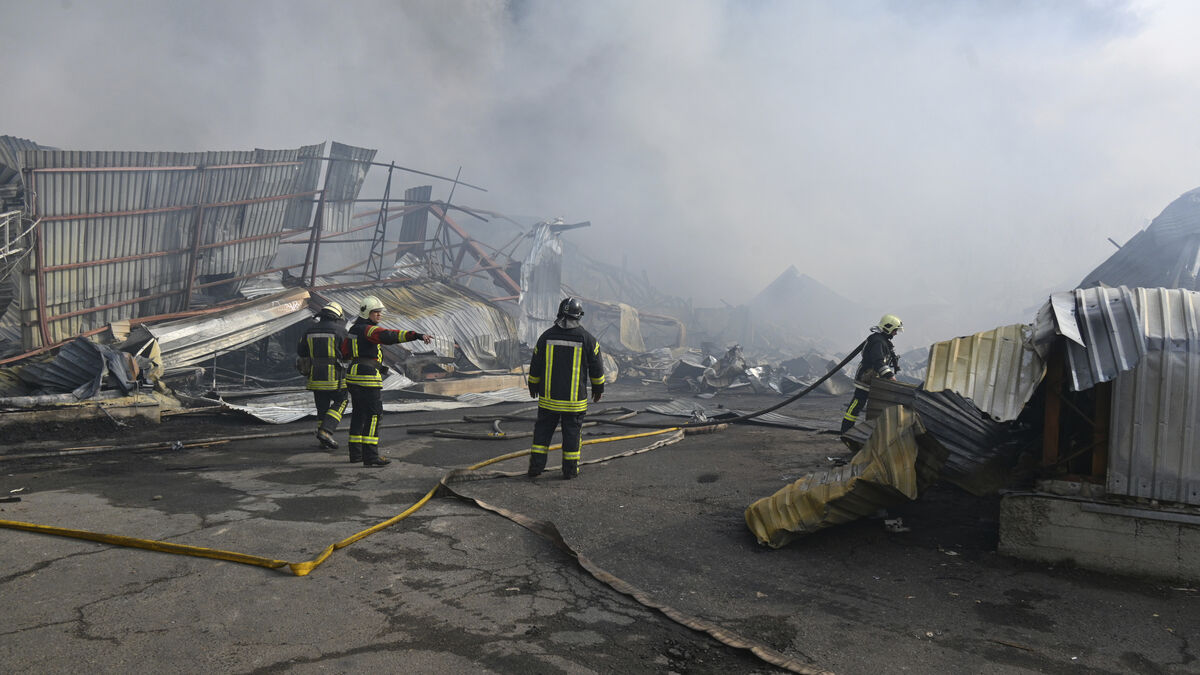 Attack on sunflower oil plant
