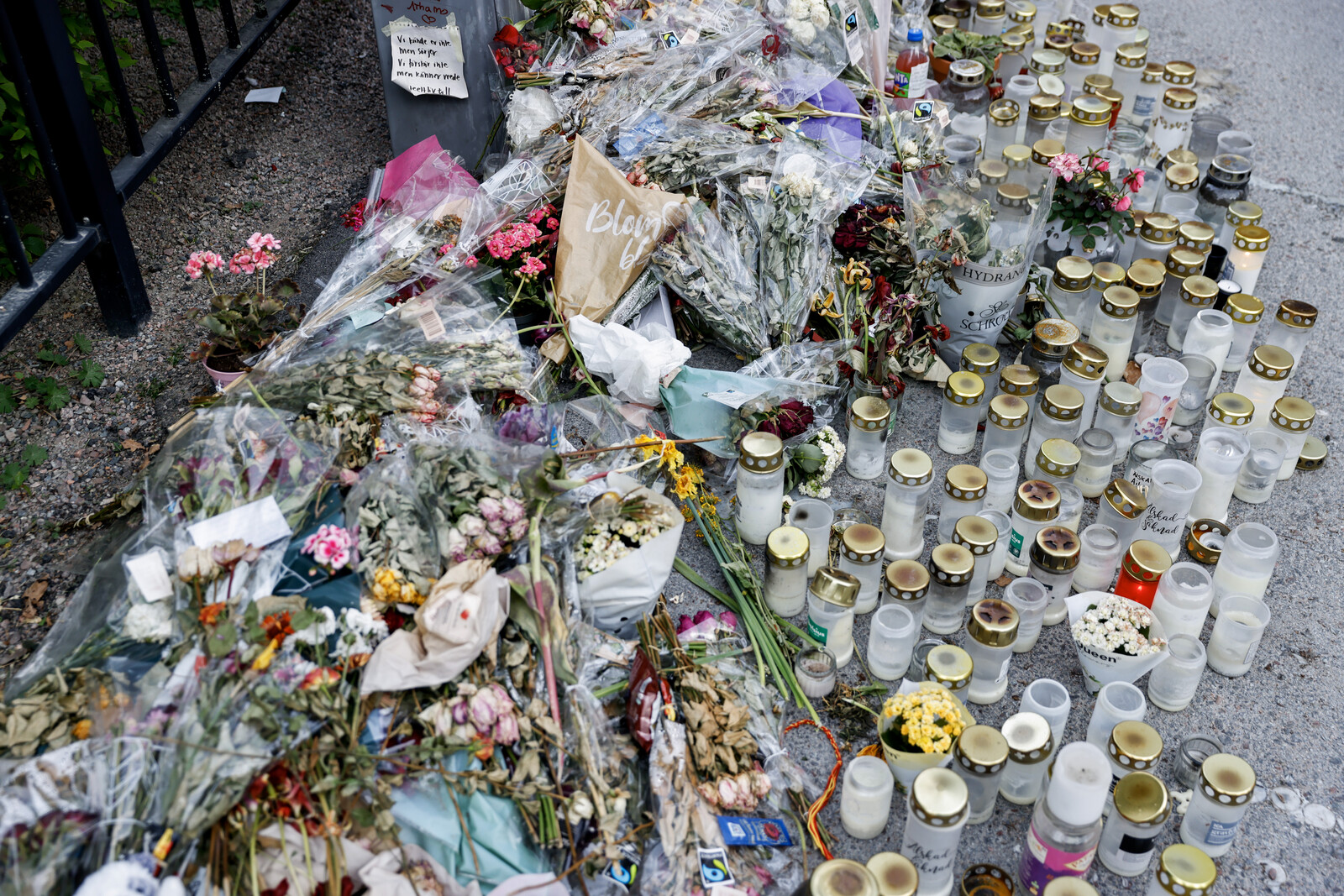 New Suspect Identified in Uppsala