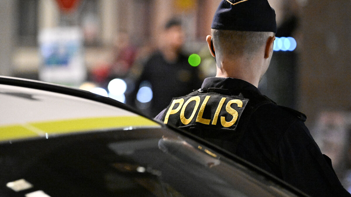 UN criticism of Sweden's visitation zones