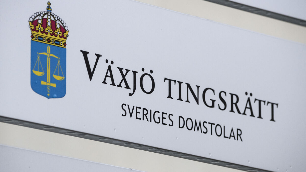 Pontus Rasmusson appeals one-year prison sentence for serious accounting crimes