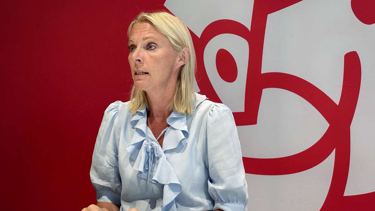 Social Democrats call for rules to protect homeowners from climate-driven insurance denials