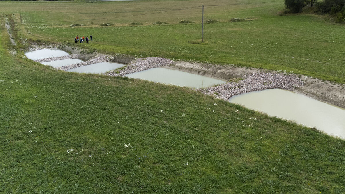 Weapons in the fight against the dead sea: Wetlands in the field