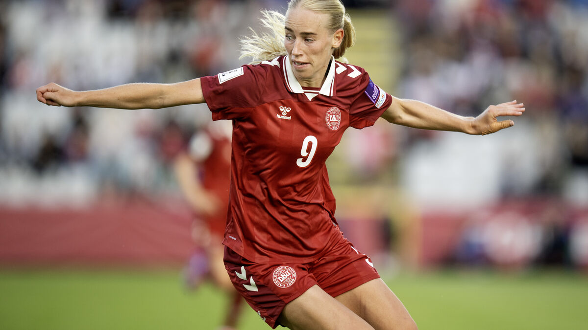 Denmark overcame Serbia, ready for the World Cup