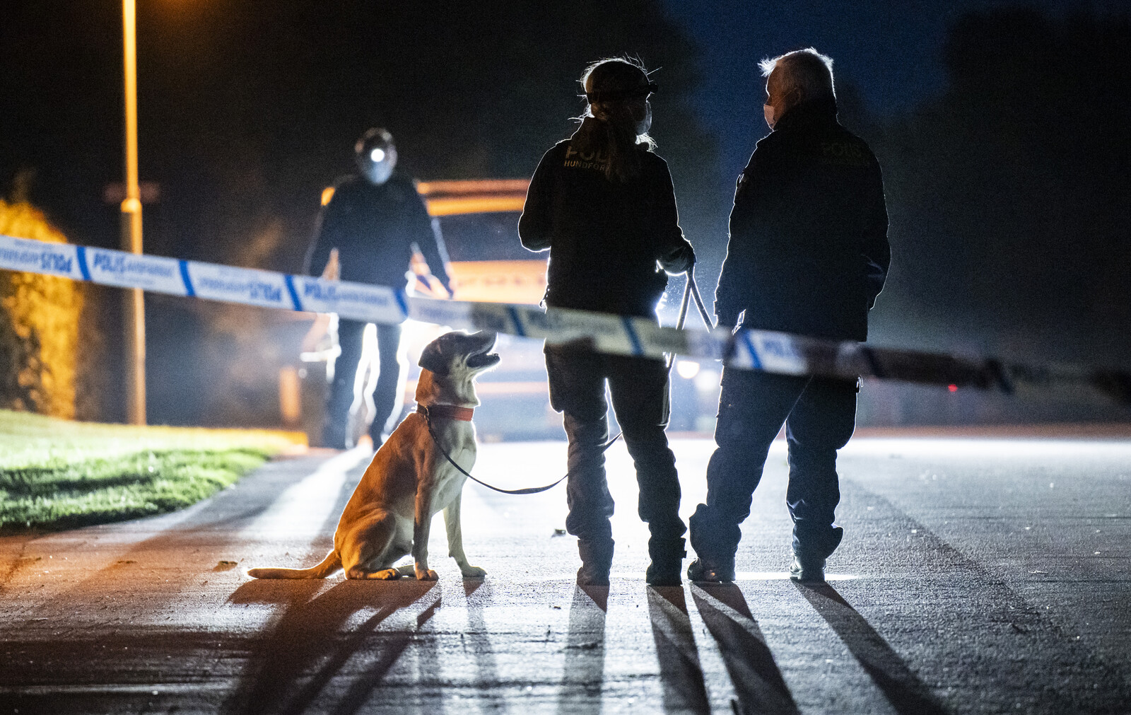 Suspected Contract Killer's Extradition from Iraq to Sweden Sought