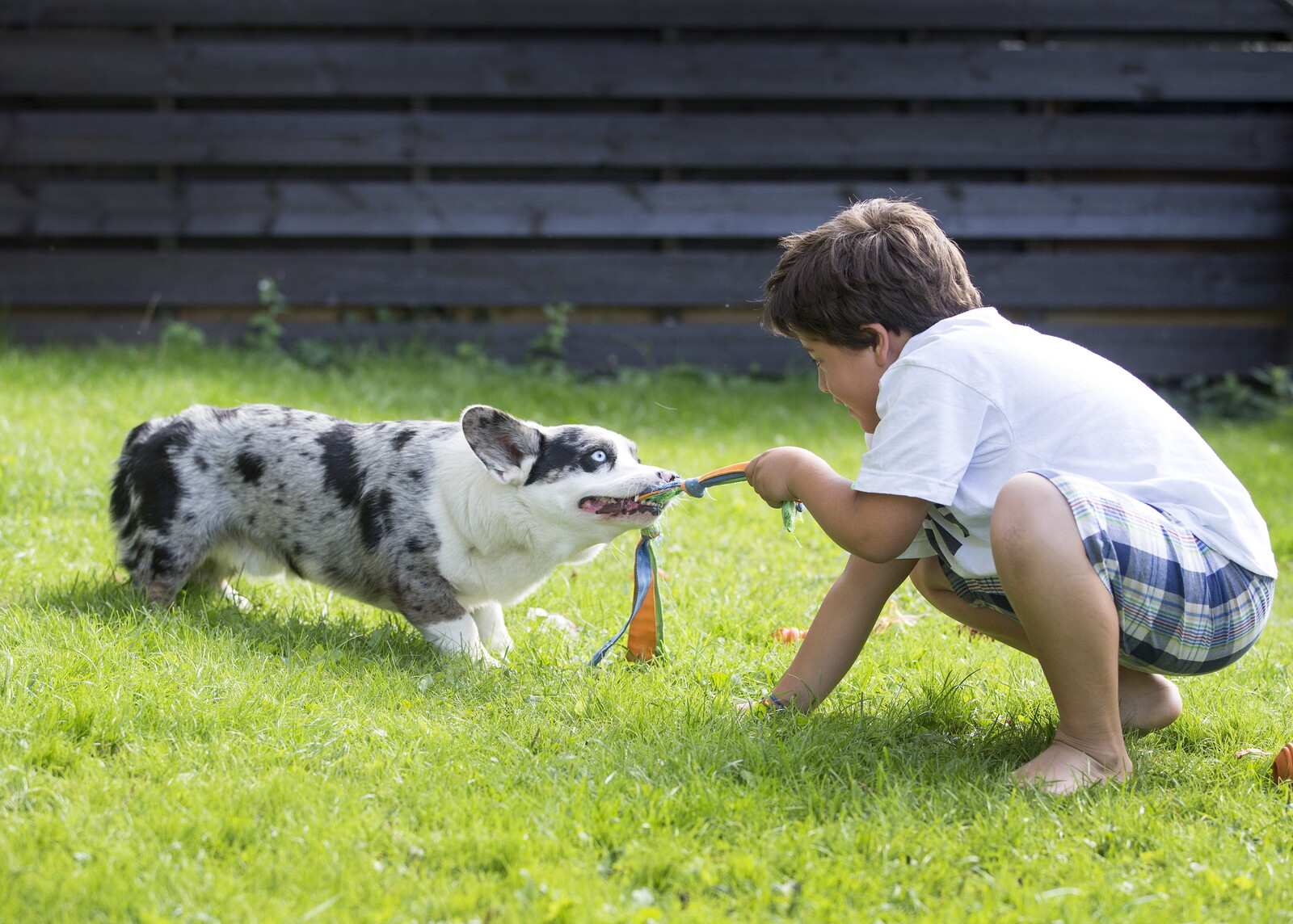Dog and Child Names Often Overlap in Popularity, Study Finds