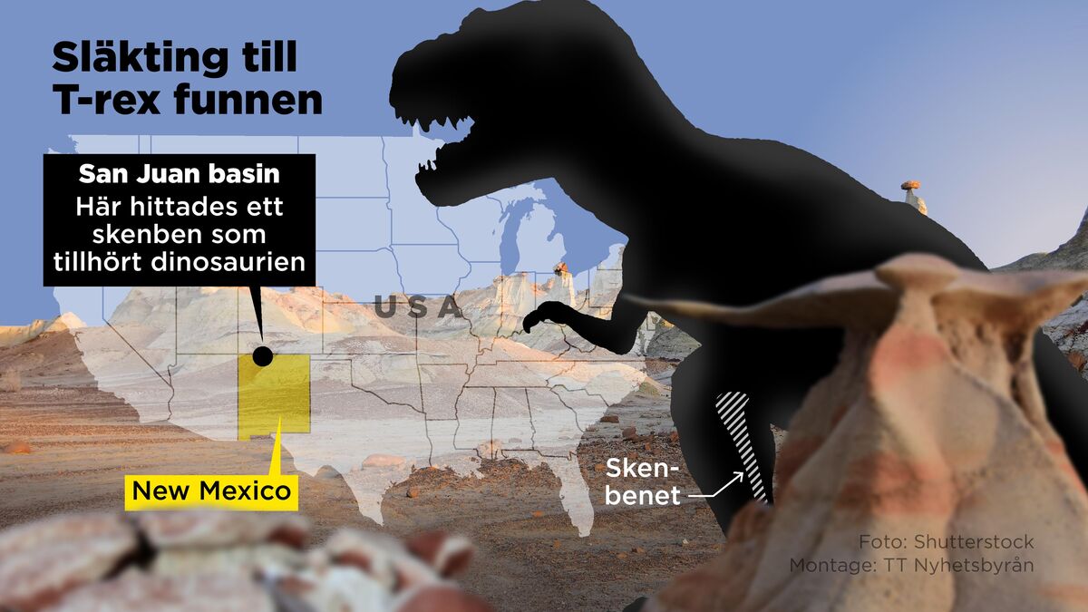 Huge ancestor of T. rex