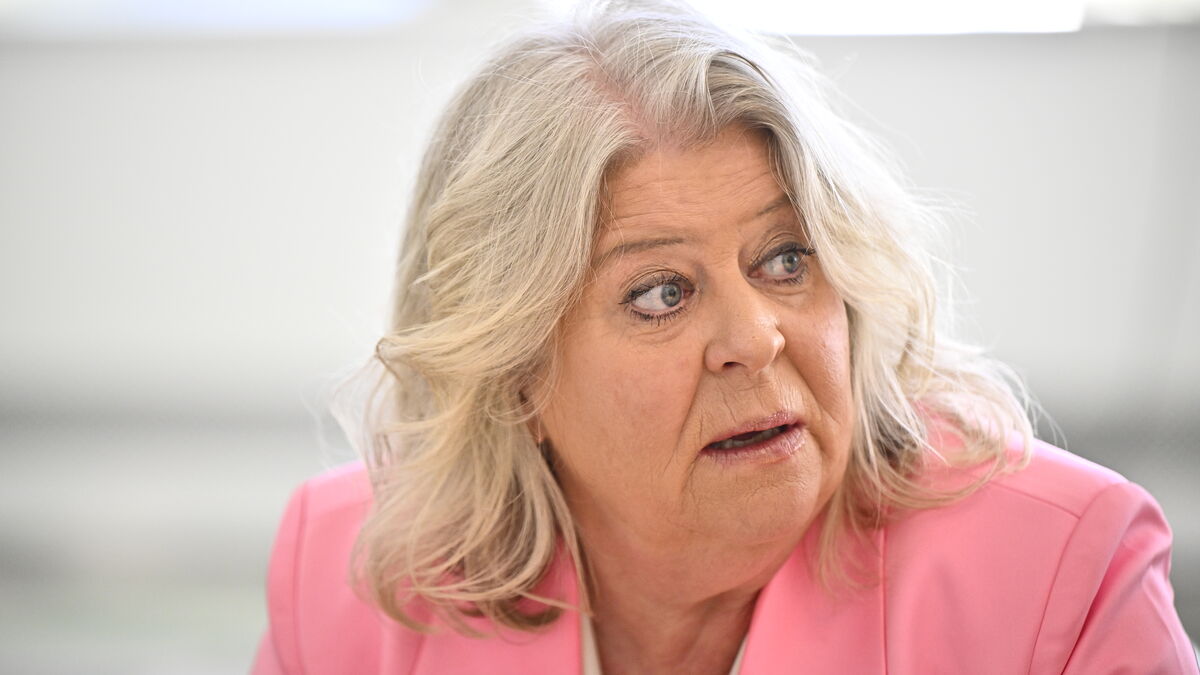 Government launches inquiry into social services decisions to strengthen legal certainty