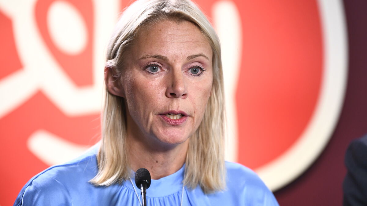 Sweden’s Red-Green parties push government