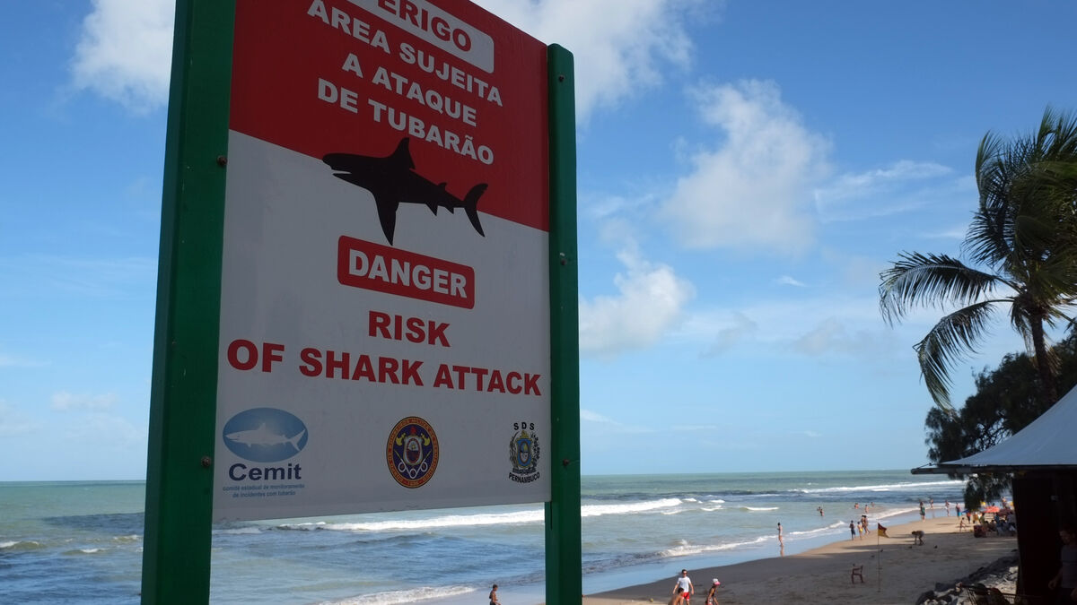 13-year-old boy dies in shark