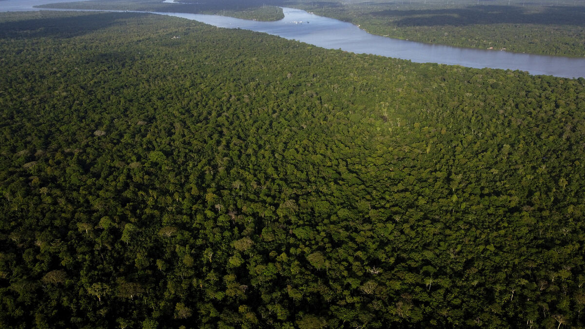 Brazilian Amazon fires hit record