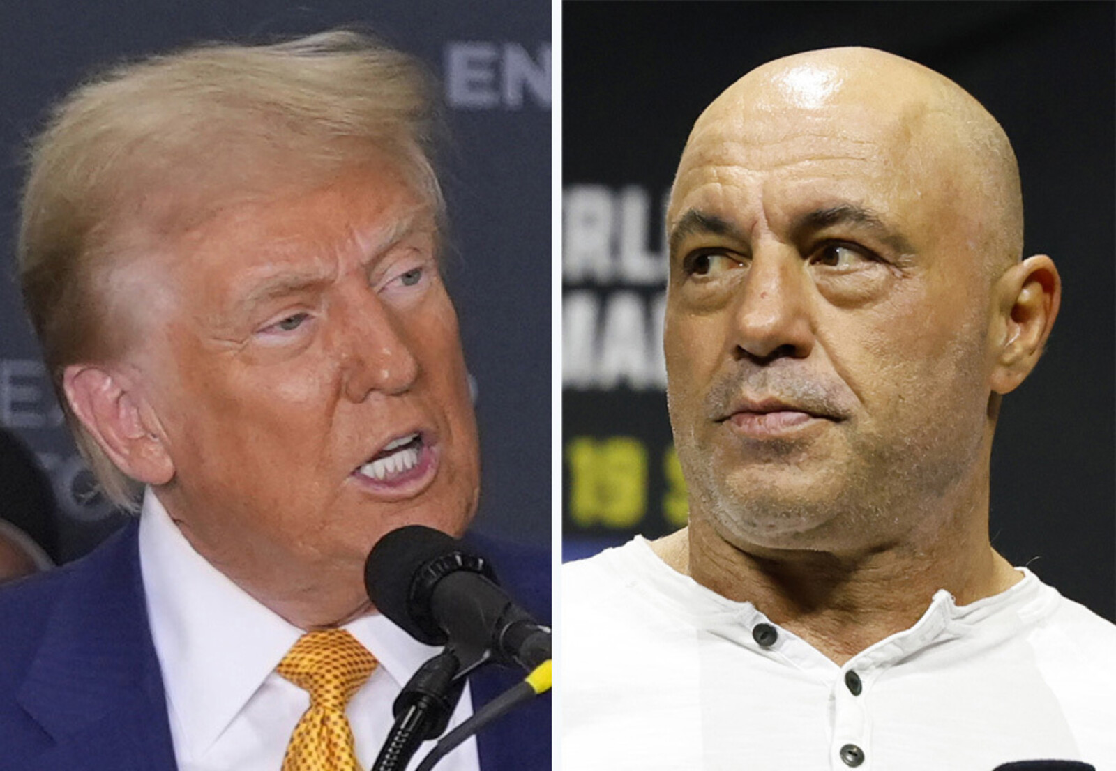 Controversial Joe Rogan Supports Donald Trump