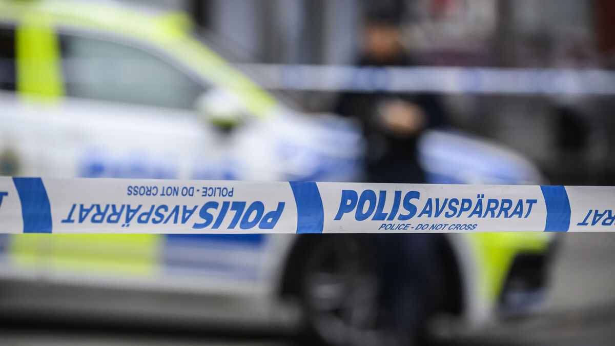 14-year-old admits to contract killing