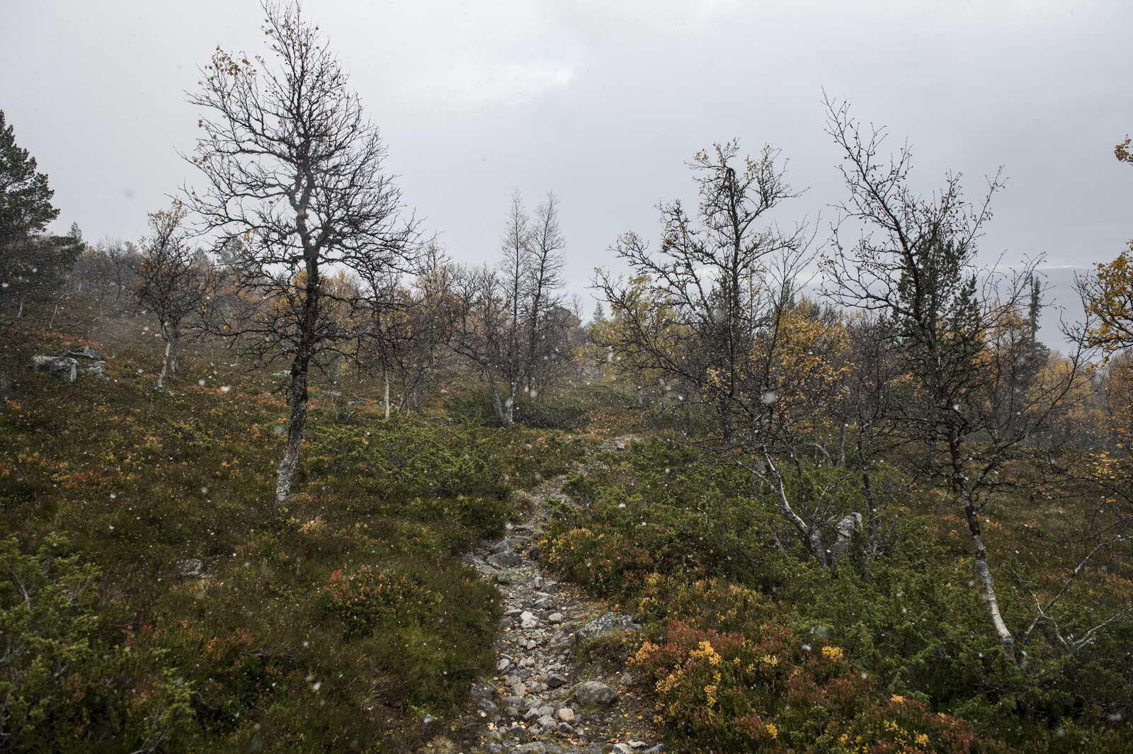 Mountain Litter Drops 70 Percent; Snus Most Common Trash