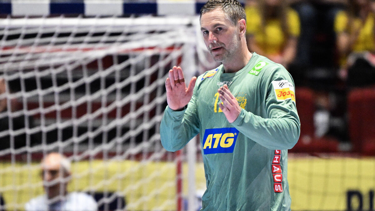 Andreas Palicka suffers serious hand