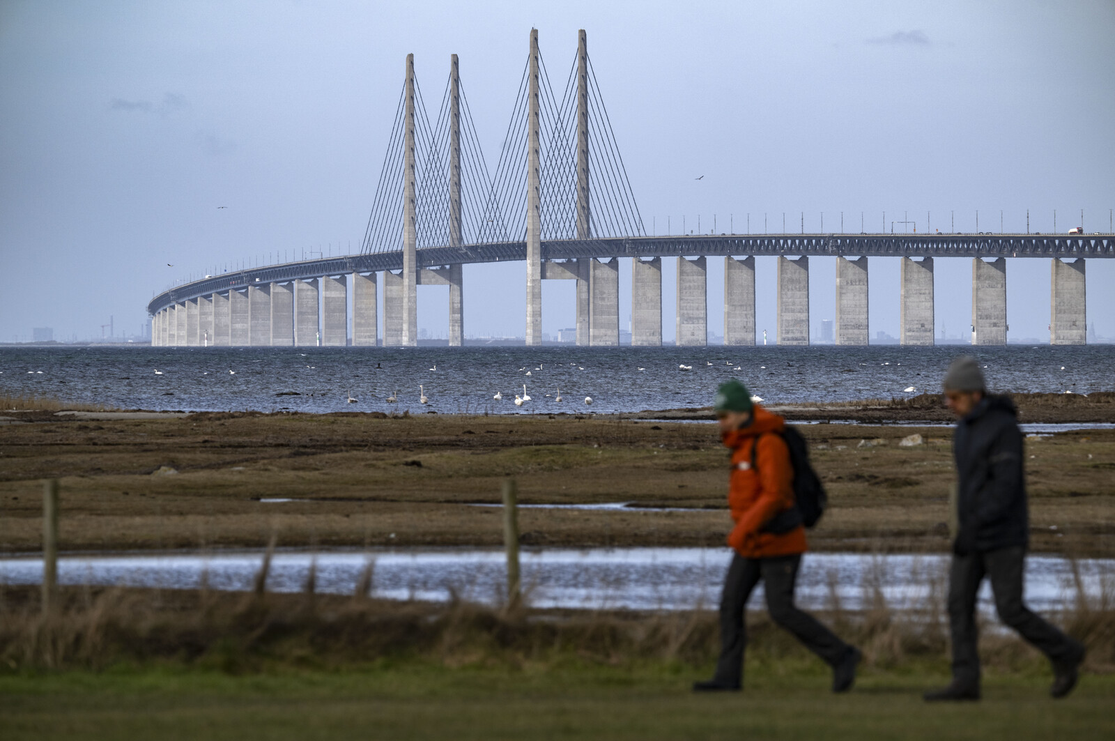Öresund Bridge closed after accident