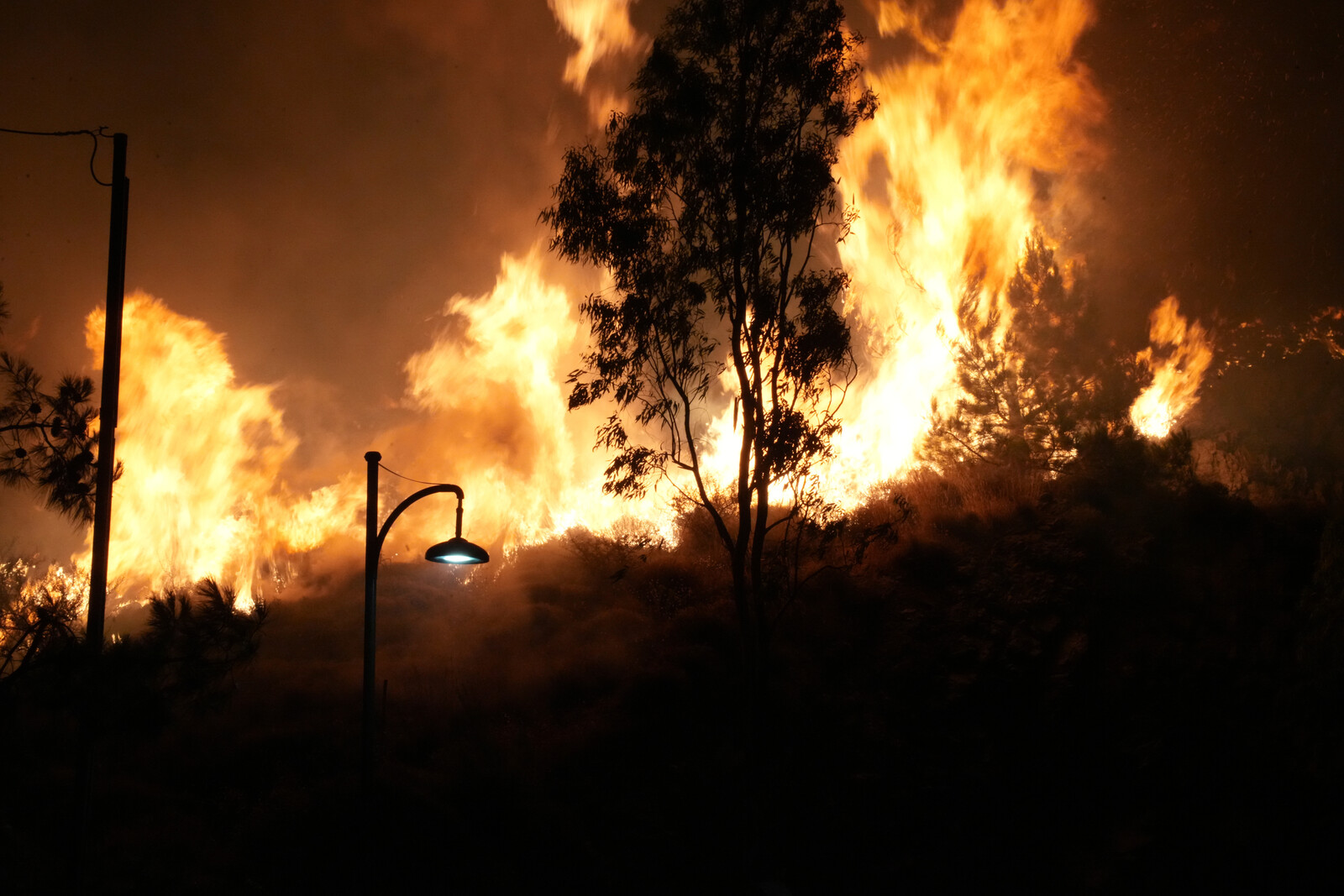 State of Emergency Declared as Fires Rage on Greek Island Chios