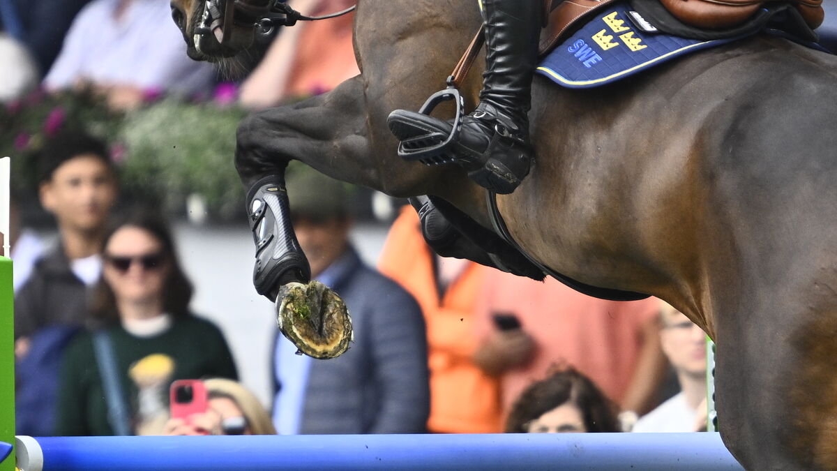 Peder Fredricson’s horse loses both shoes in Sweden’s rough World Championship start