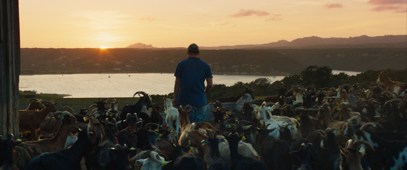 Corsica's Exploitation Explored in New Gangster Drama Mohikanen