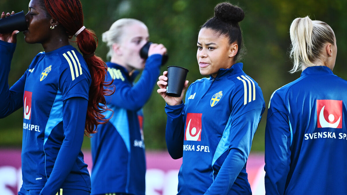 Sweden face World Cup playoff