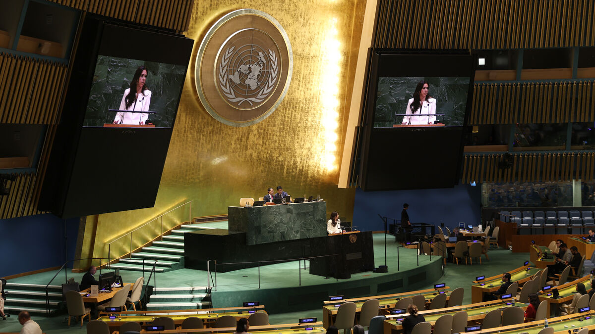 UN General Assembly: Return Ukrainian