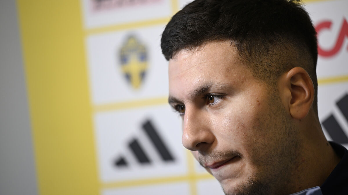 Roony Bardghji faces 6-7 months out after cruciate ligament injury, reports say