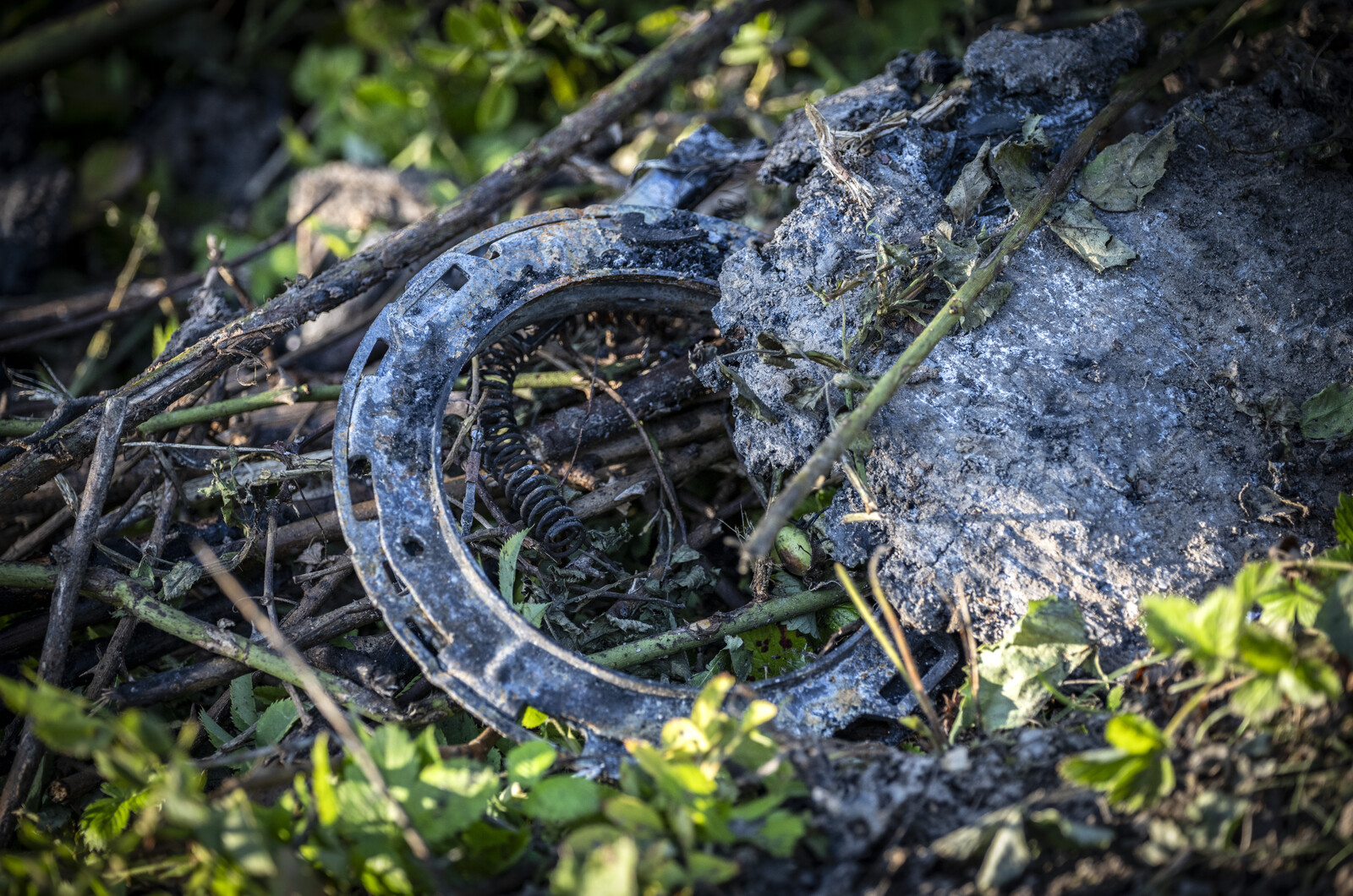White Car in Focus in