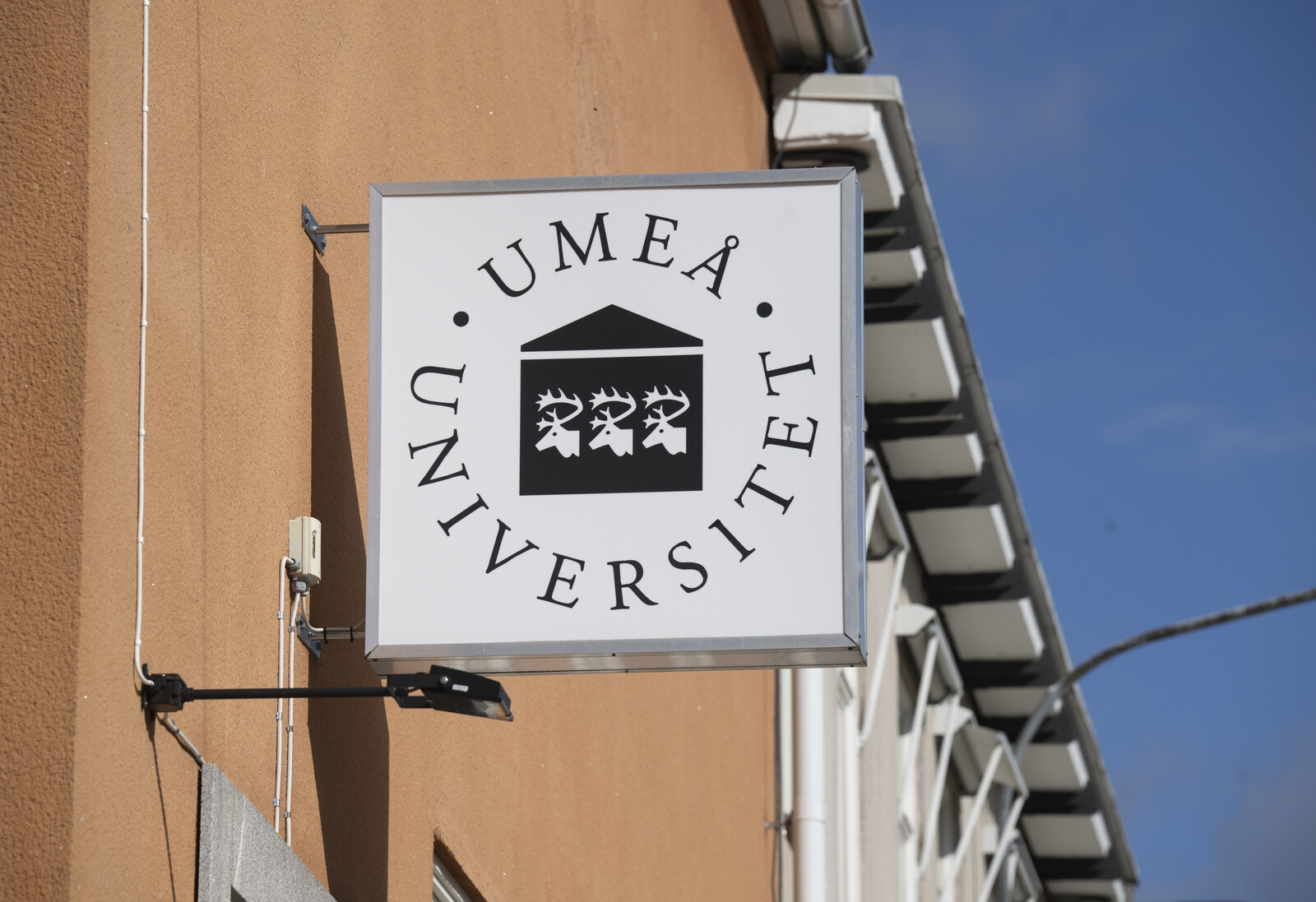 New Discovery at Umeå University Offers Hope for Pancreatic Cancer Treatment
