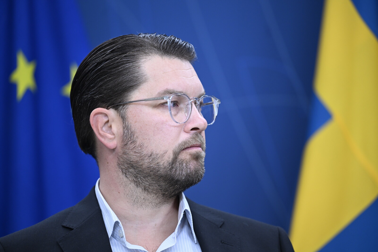 The Sweden Democrats open up