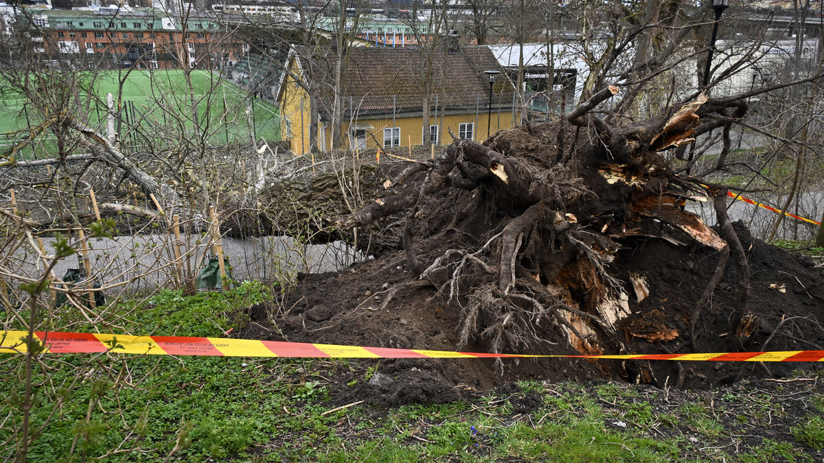Storm damage hits record high