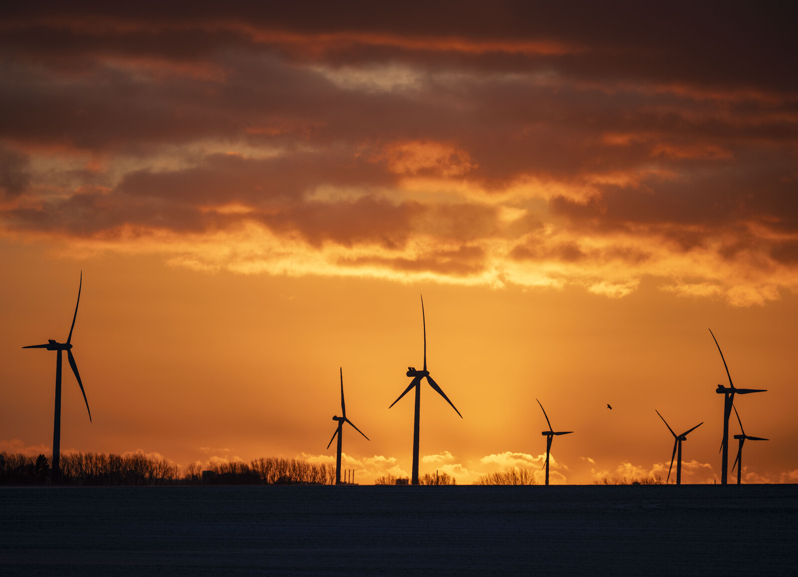 New Wind Power Projects Face Major Hurdles in Sweden