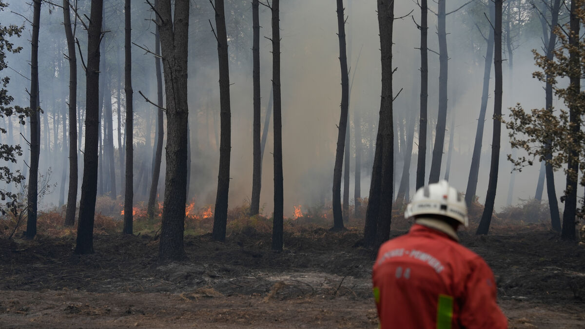 Forest fire near Bordeaux under control, French minister says