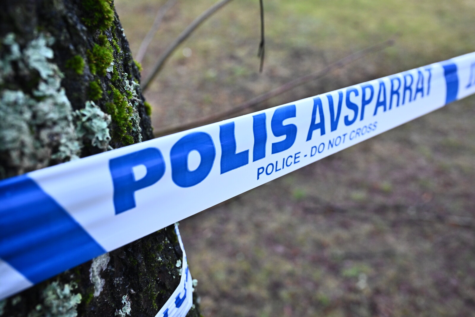 Body Discovered in Brunnsviken Waters, Stockholm
