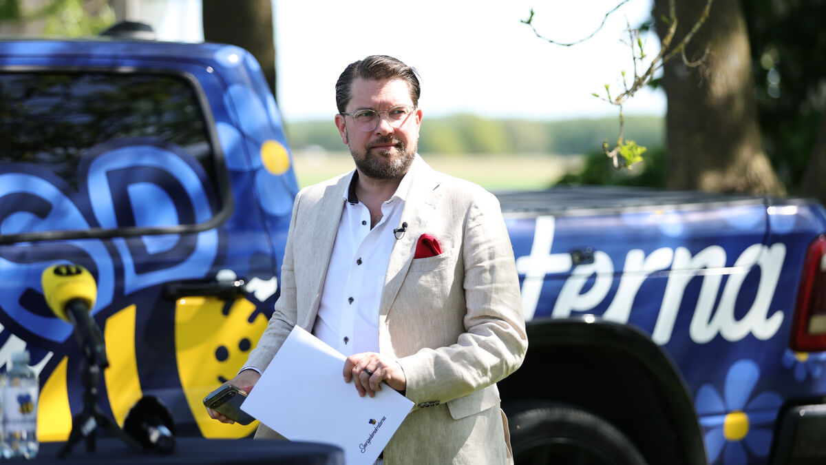 Sweden Democrats promise cold beer at Systembolaget and low VAT on food
