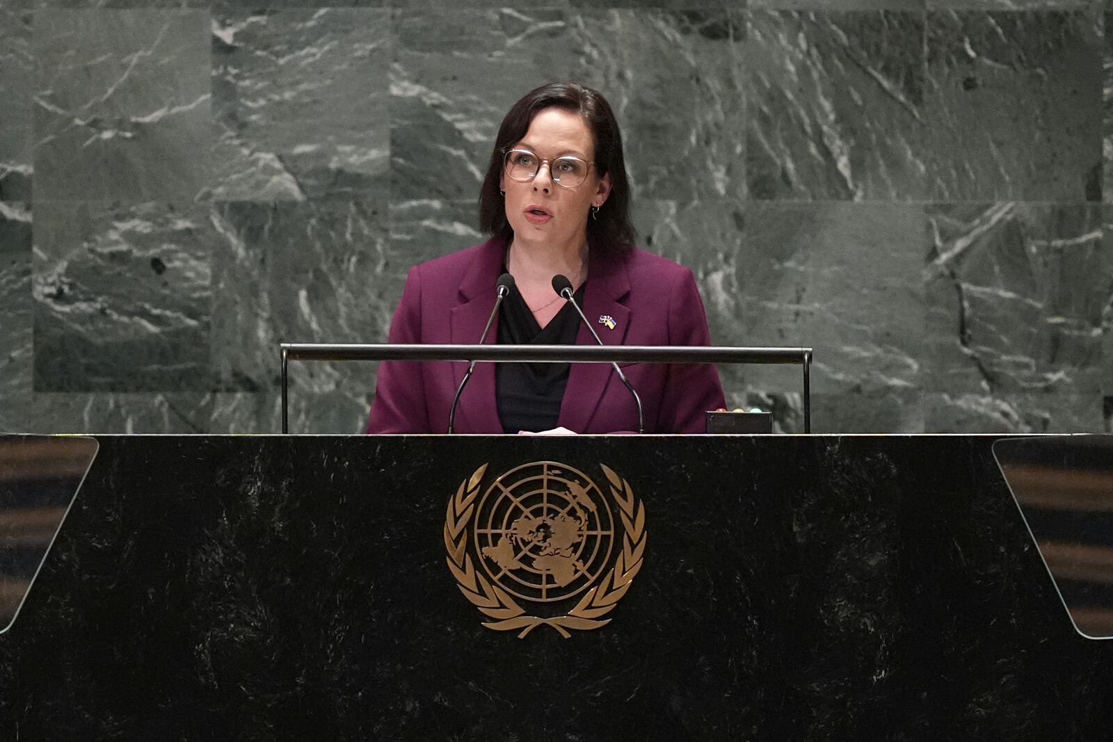 The Foreign Minister: Israel has