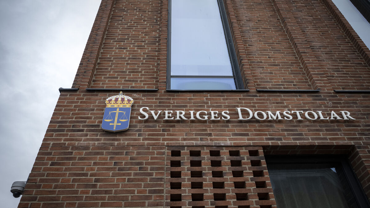 Sweden's court websites were down