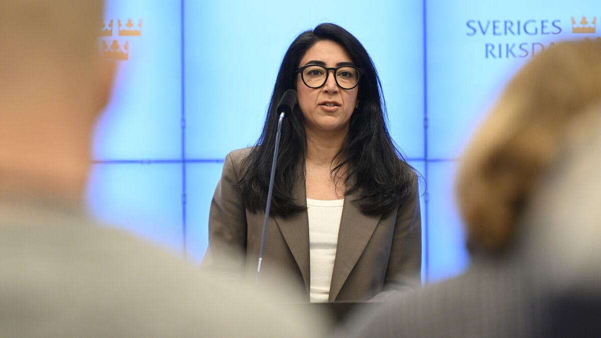 Social Democrats want Swedish language requirements across the welfare system