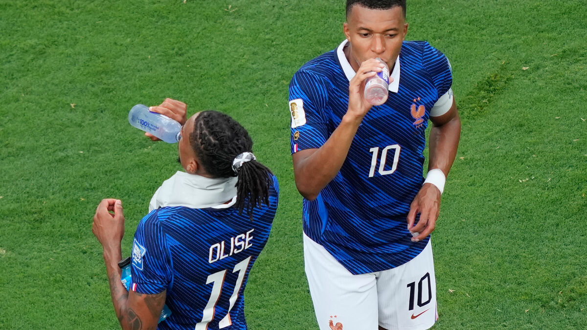 France vs Paraguay World Cup