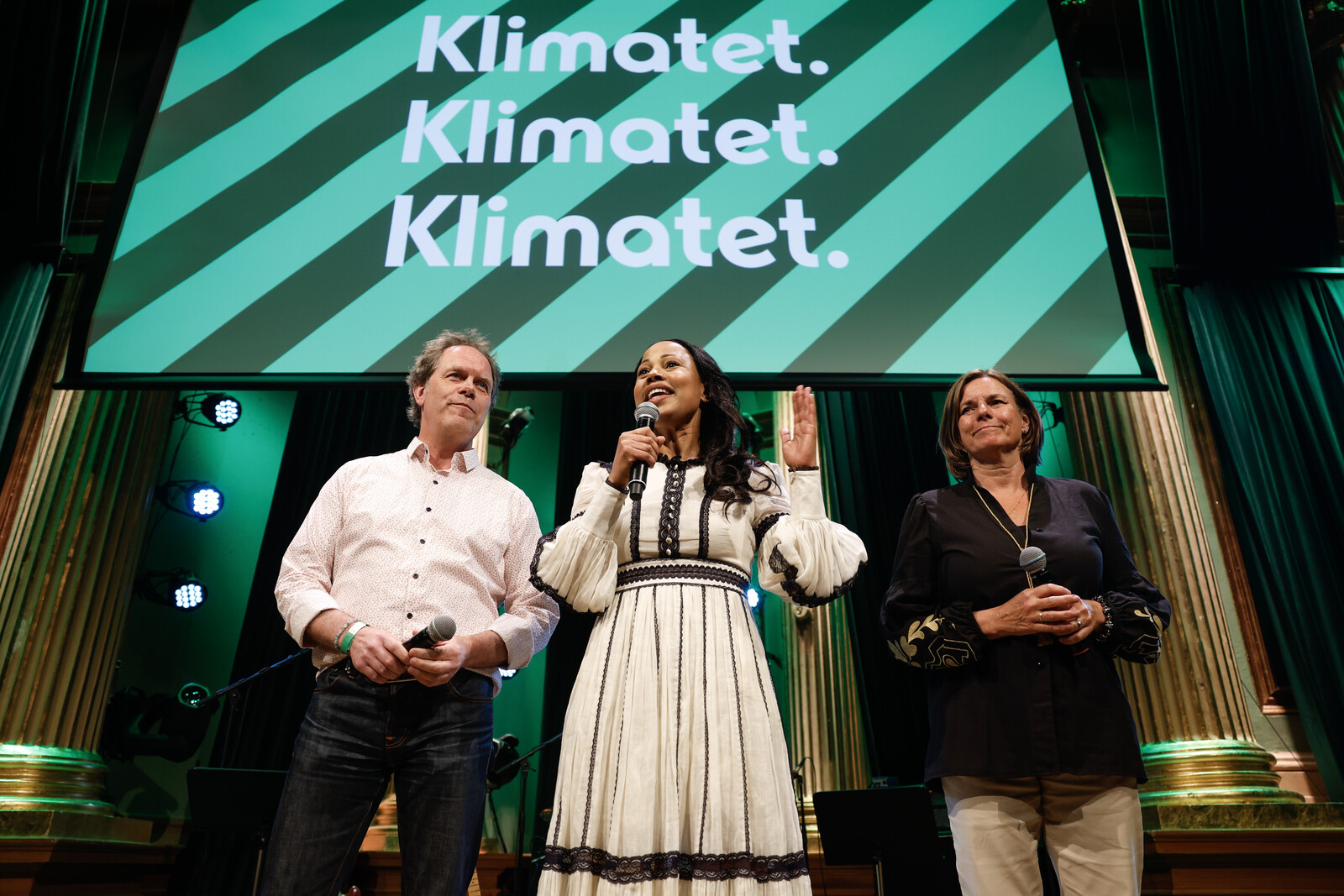 The Environment Most Important for Swedes in the EU Election