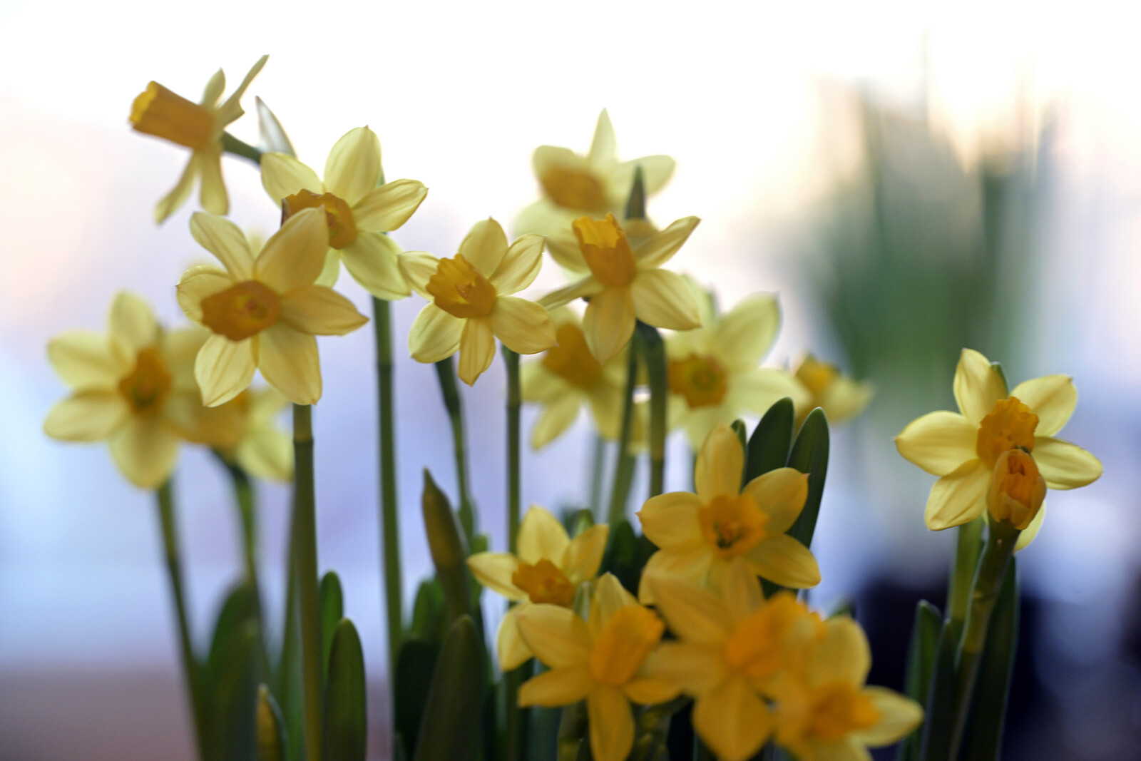 Warm Easter Weekend Forecast for Southern Sweden