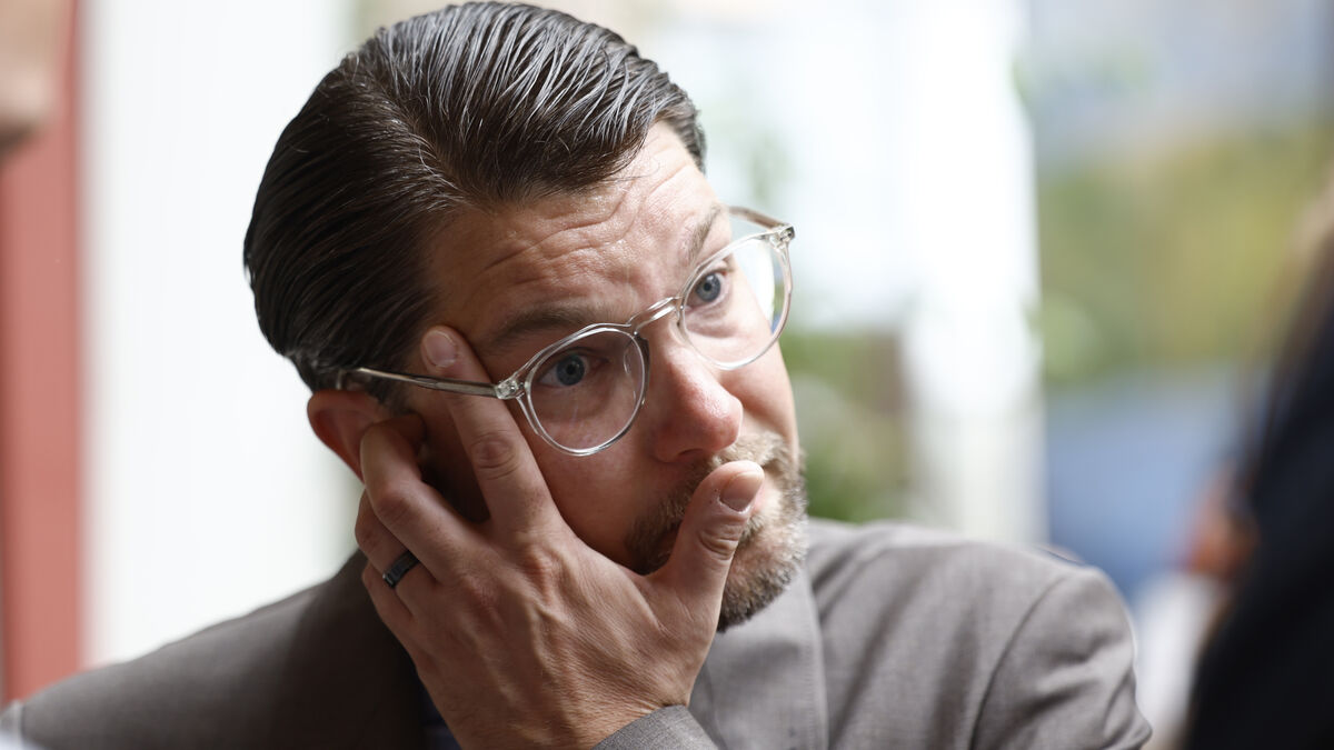 Suspected crime against Åkesson - preliminary investigation closed