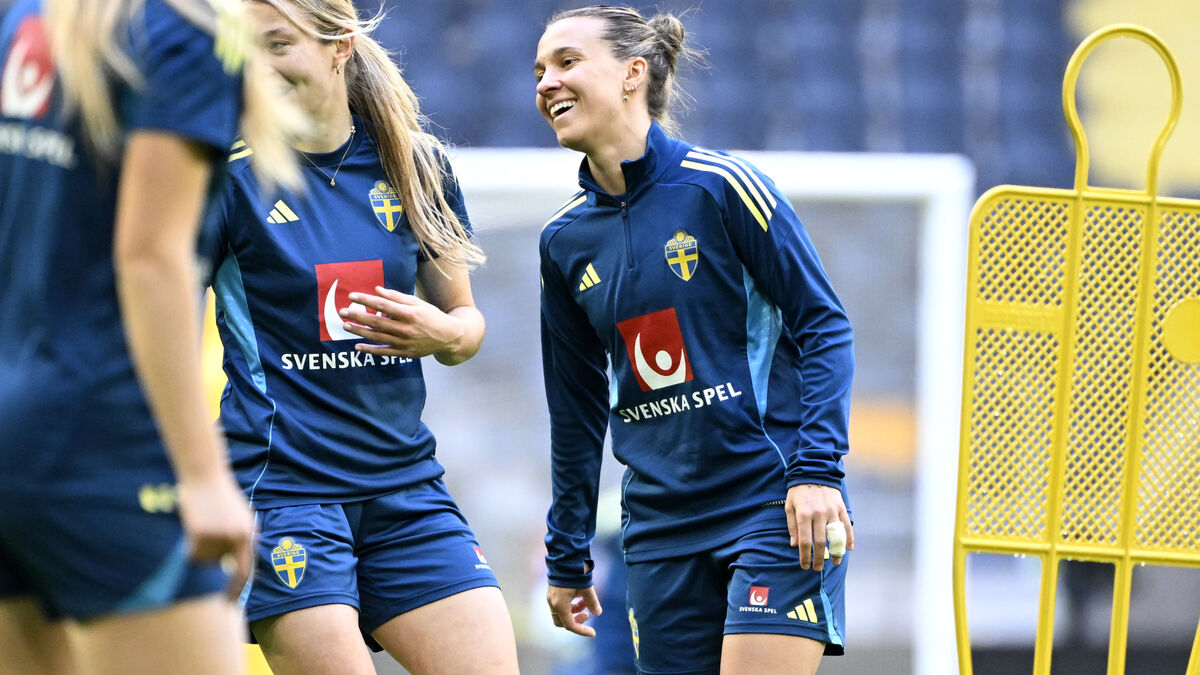 Pressured Sweden: We must have three points against Serbia