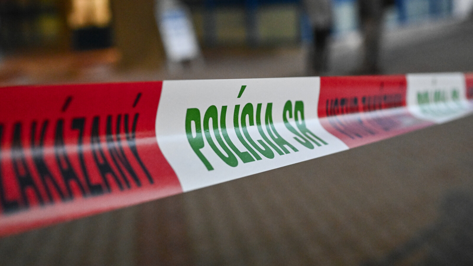 Two killed in stabbing at