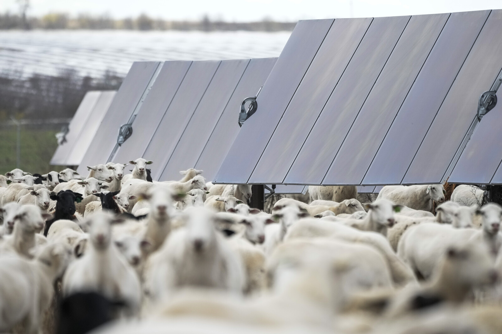 Ongoing Global Solar Boom – "Unstoppable Force"