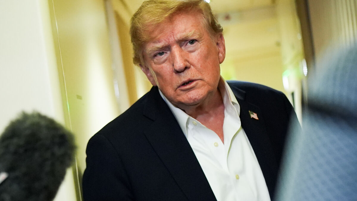 Trump attacks calls for AI