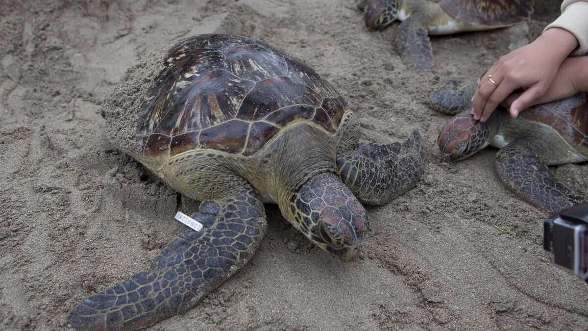 Ten good news stories from