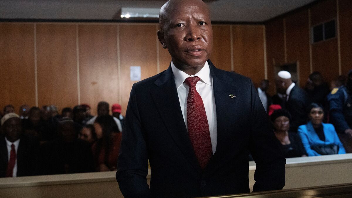 Julius Malema jailed for firing
