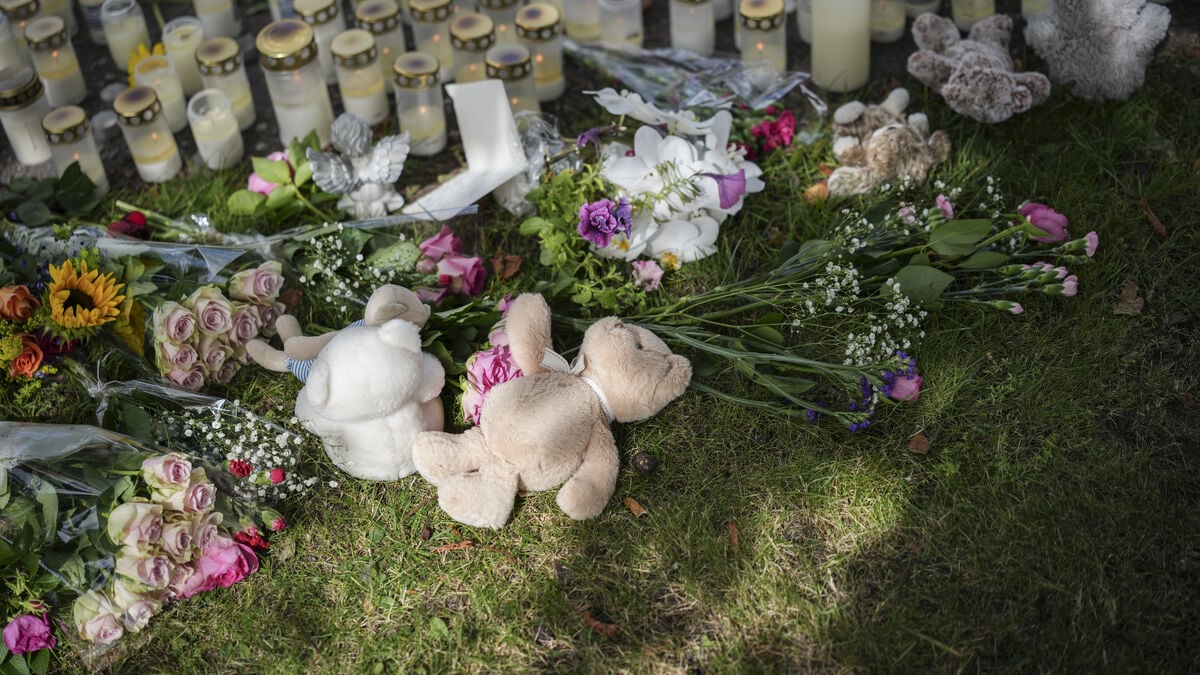 Suspect in Fagersta school attack taken into custody