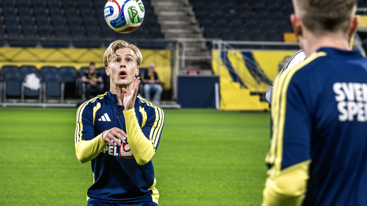 Lucas Bergvall: We are definitely
