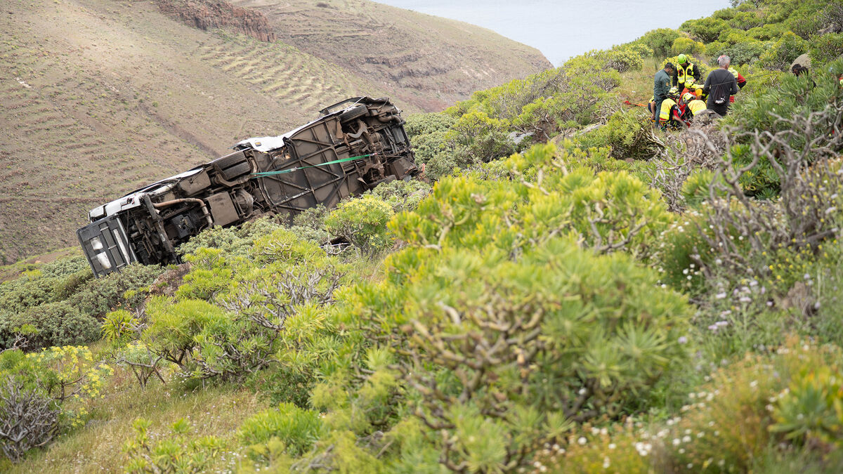 One dead when bus plunges