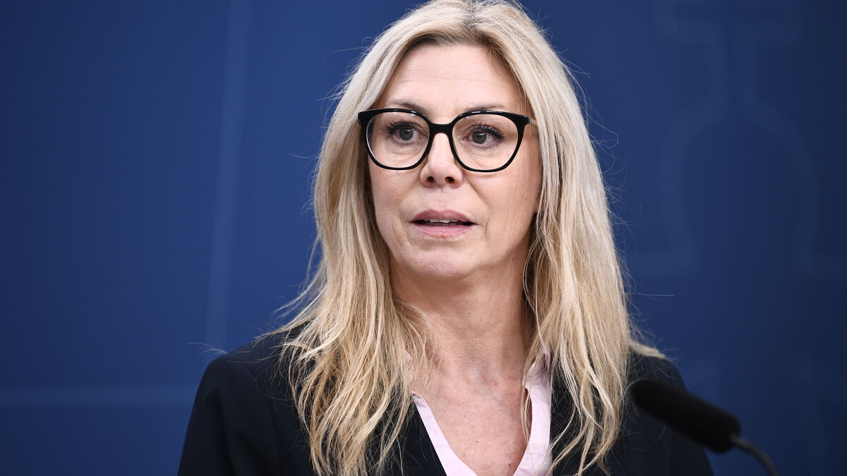 SD accused of foul play in parliamentary vote on transitional rules for stricter citizenship requirements